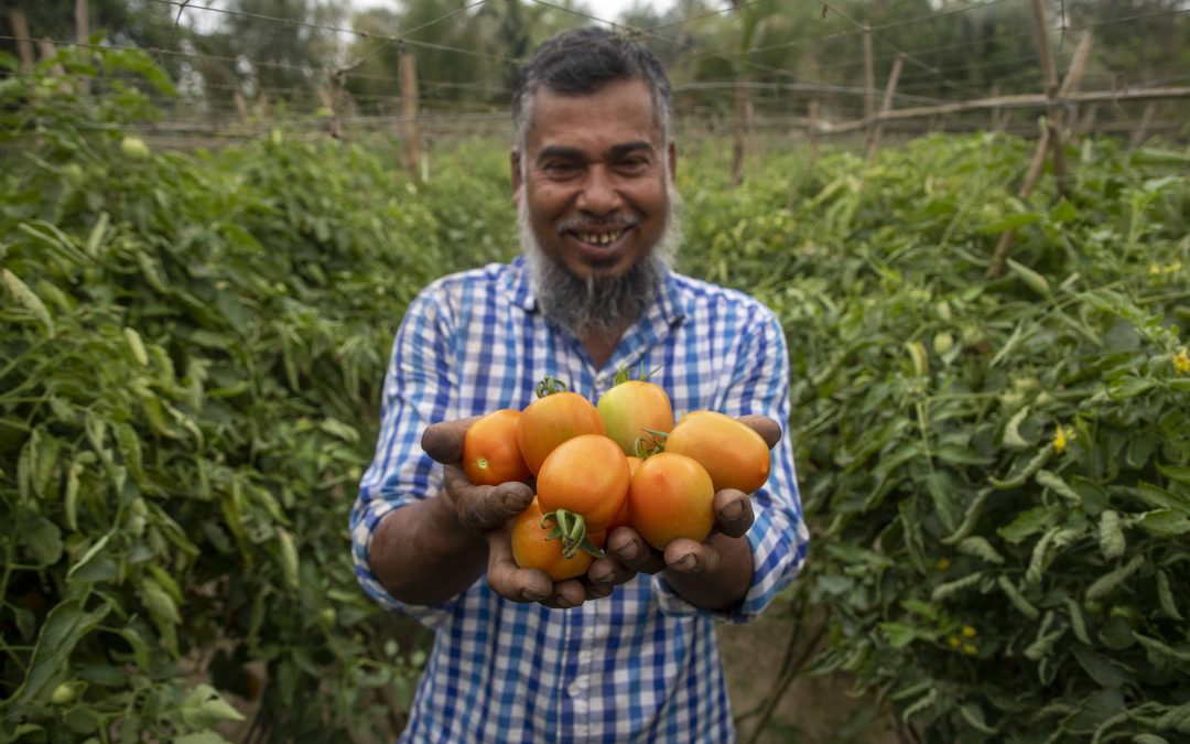 Sara Bangla initiatives farmers during COVID-19