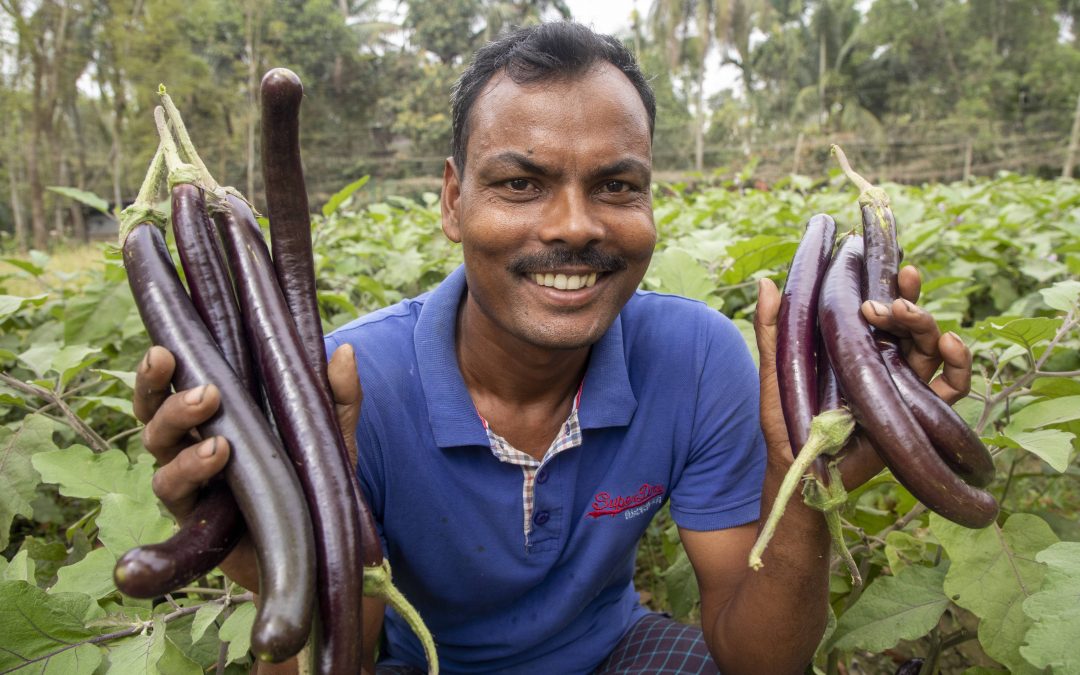 Opinion: The power of investing in smallholder farmers’ organizations